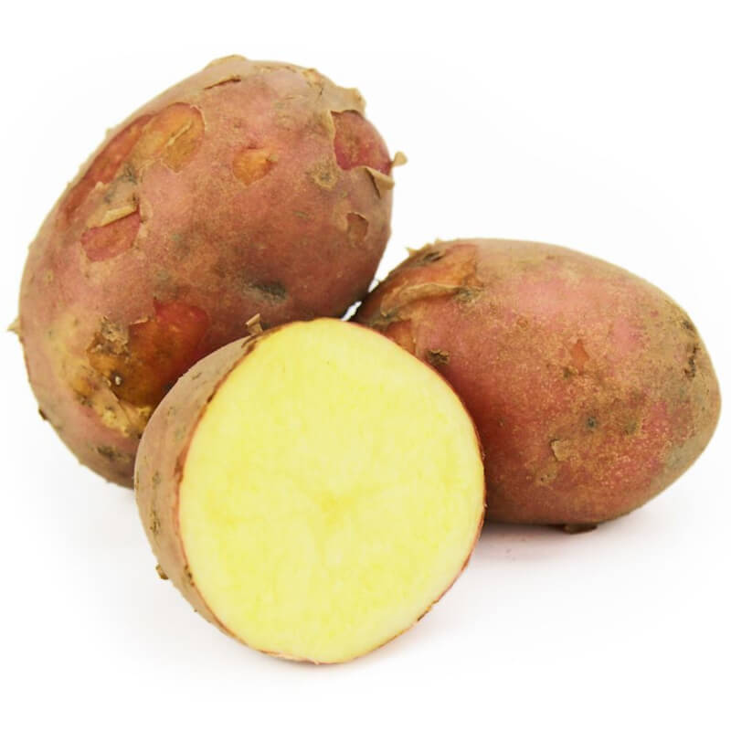 Junge rote Kartoffeln, frisch BIO (polnisch) (ca. 2,00 kg)