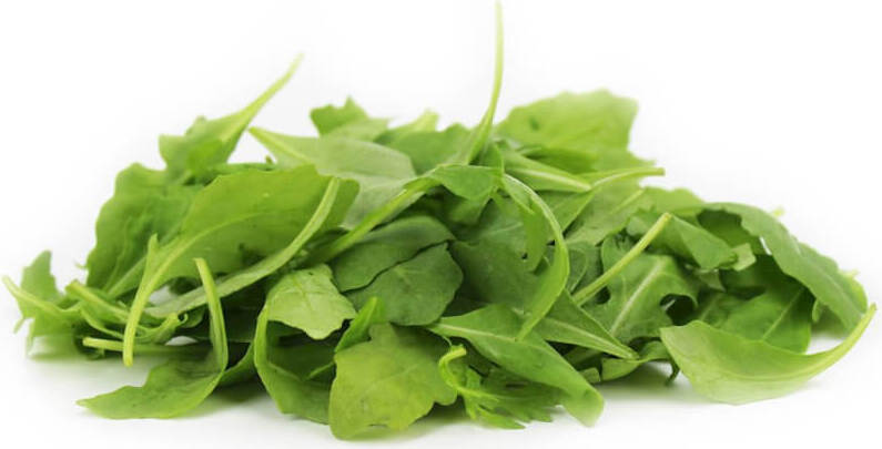 Rucola frisch, ungewaschen BIO (ca. 100g)