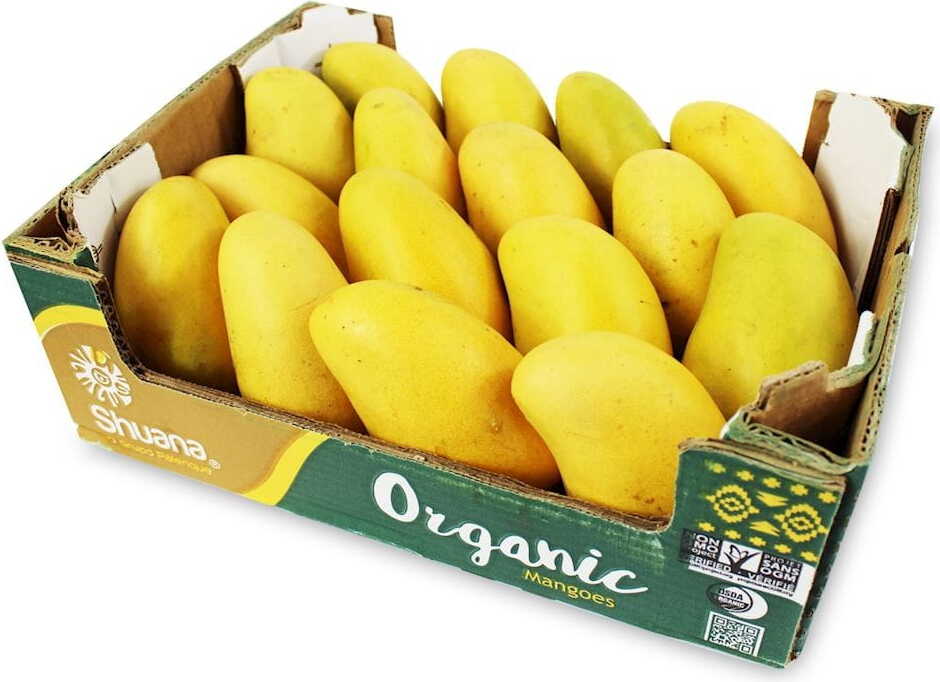 Großpackung (Stk.) - frische Mango Ataulfo BIO (ca. 16 Stk.)