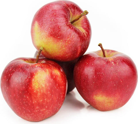 Großverpackung (kg) - Frische Äpfel BIO (Gala - Polnisch) (ca. 13 kg)