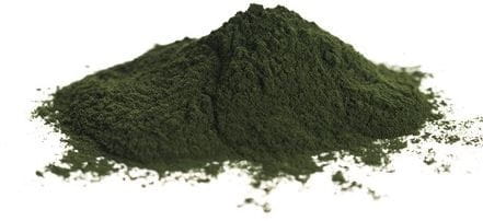 Chlorellapulver (Algen) BIO (Rohstoff) (25 kg) 1